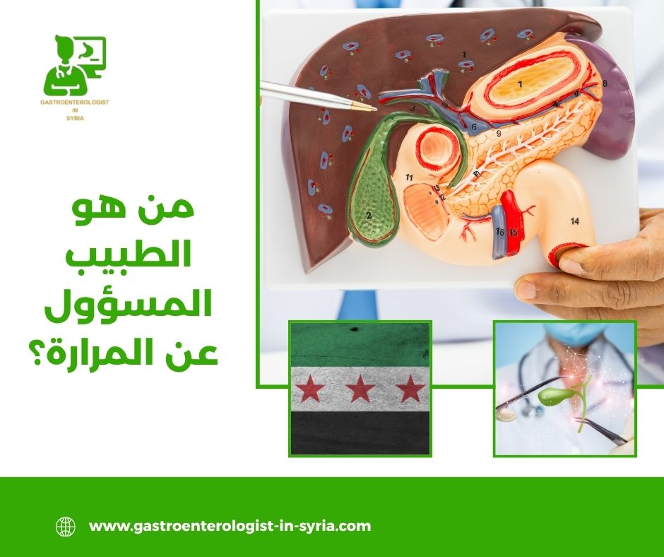 من هو الطبيب المسؤول عن المرارة؟