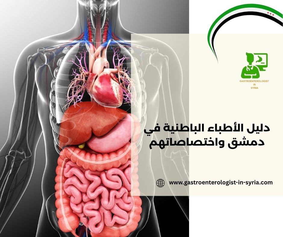 دليل الأطباء الباطنية في دمشق واختصاصاتهم دليل الأطباء الباطنية في دمشق واختصاصاتهم
